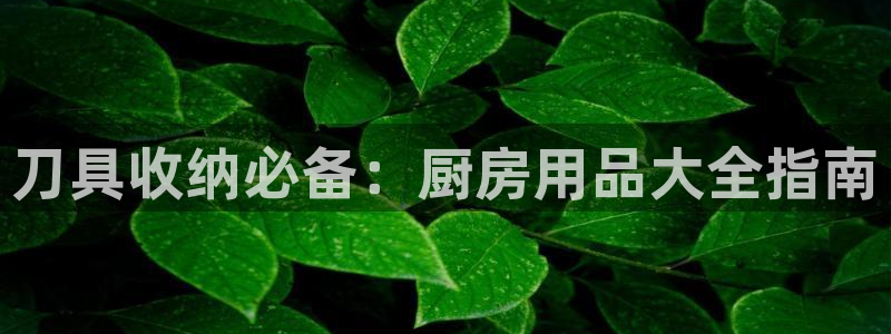 国际鸿运官网欢迎您hv